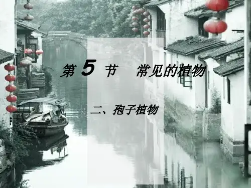 2-5常见的植物课件---浙教版科学七年级上册【03】
