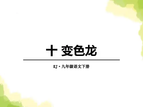 《变色龙》课件(完整版)