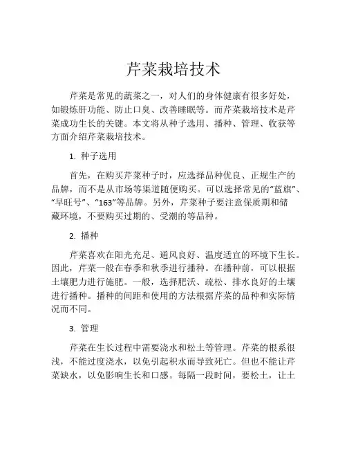 芹菜栽培技术