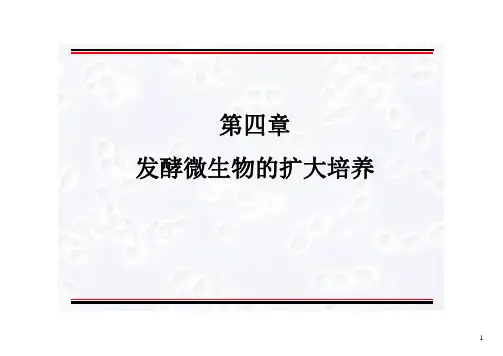 发酵微生物的扩大培养