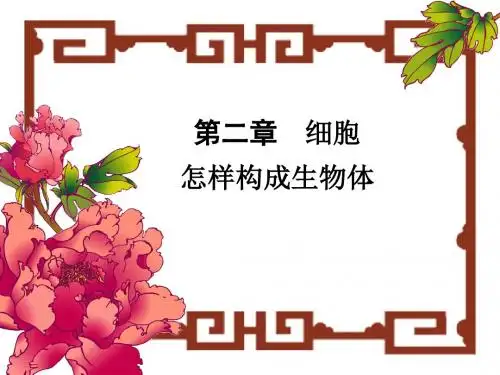 七年级生物植物体的结构层次2