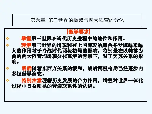6第6章第三世界的崛起与两大阵营的分化(new)