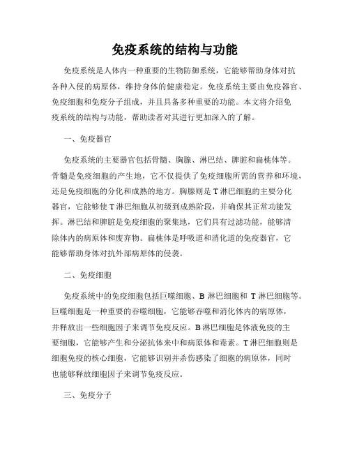 免疫系统的结构与功能