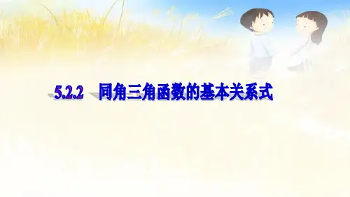 5.2.2 同角三角函数的基本关系式 课件-2022学年高一上学期数学人教A版(2019)必修第一册