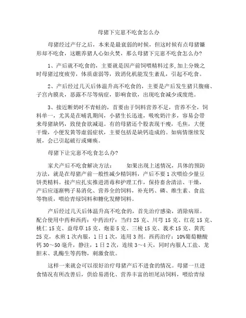 母猪下完崽不吃食怎么办