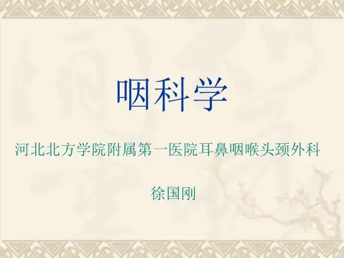 咽部解剖