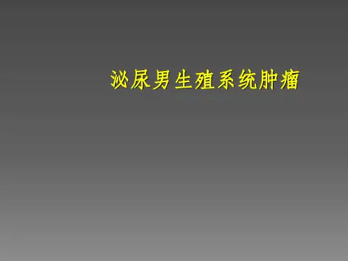 业务学习泌尿系肿瘤ppt课件