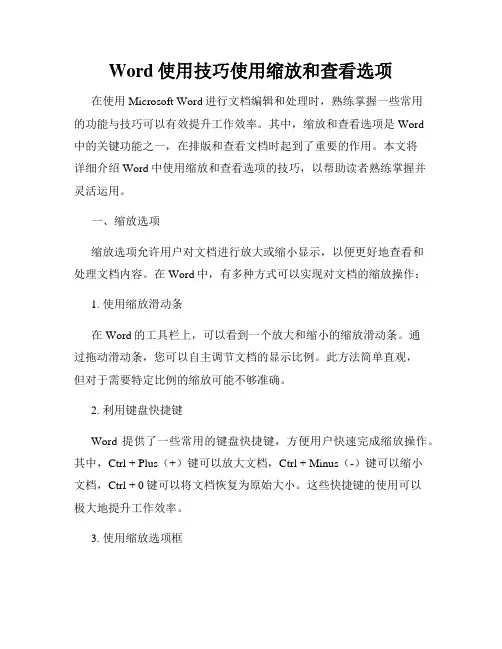 Word使用技巧使用缩放和查看选项