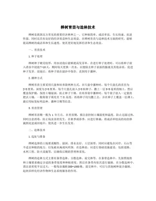 桦树育苗与造林技术