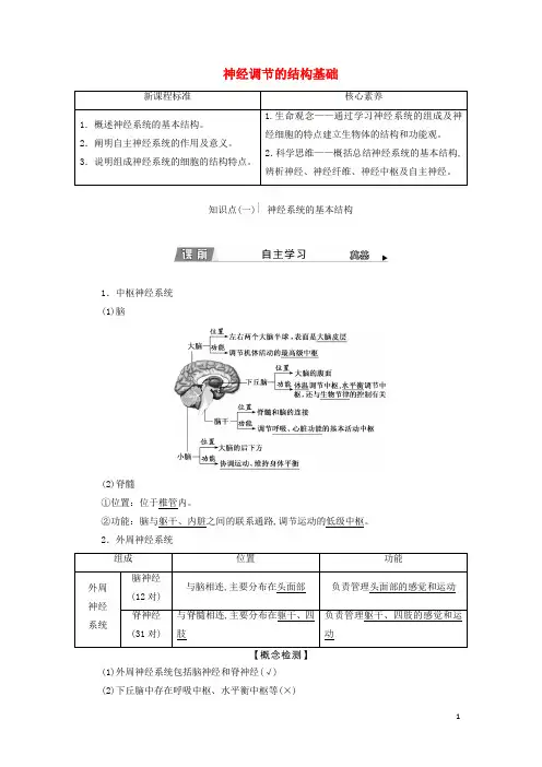 新教材高中生物第2章神经调节第1节神经调节的结构基础学案新人教版选择性必修1