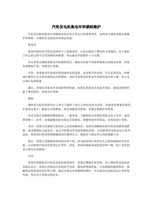 汽轮发电机集电环和碳刷维护