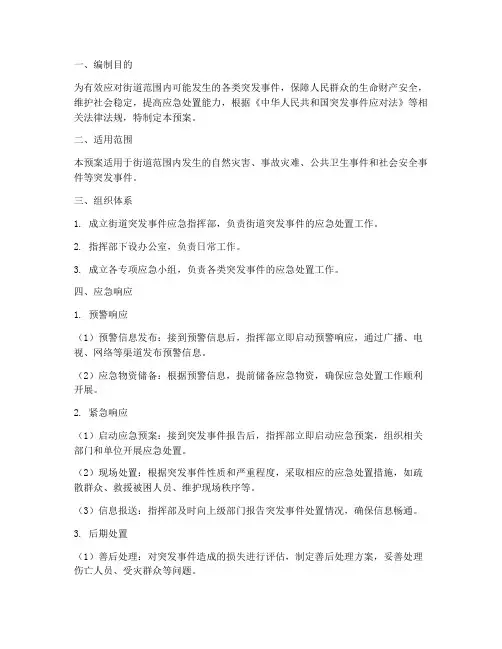 街道应急预案整套