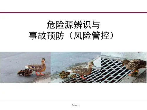 危险源辨识与事故预防(风险管控)
