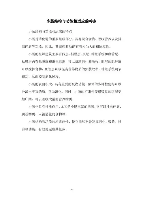 小肠结构与功能相适应的特点