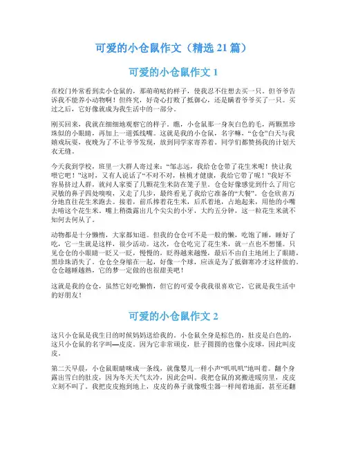 可爱的小仓鼠作文(精选21篇)
