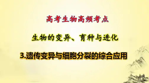 高考生物高频考点：3.遗传变异与细胞分裂的综合应用