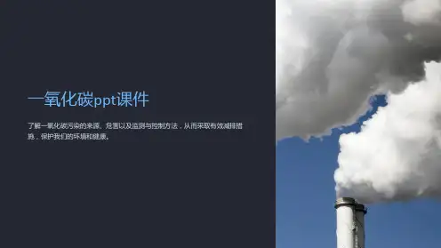 一氧化碳课件