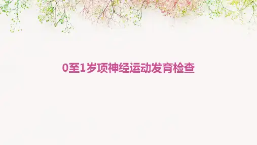 0至1岁项神经运动发育检查