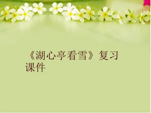 《湖心亭看雪》复习课件