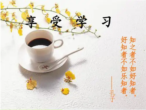 享受学习ppt