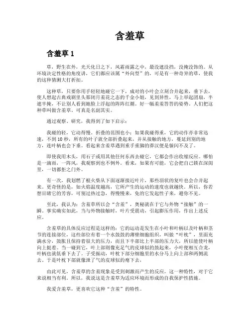 含羞草-专业文档!