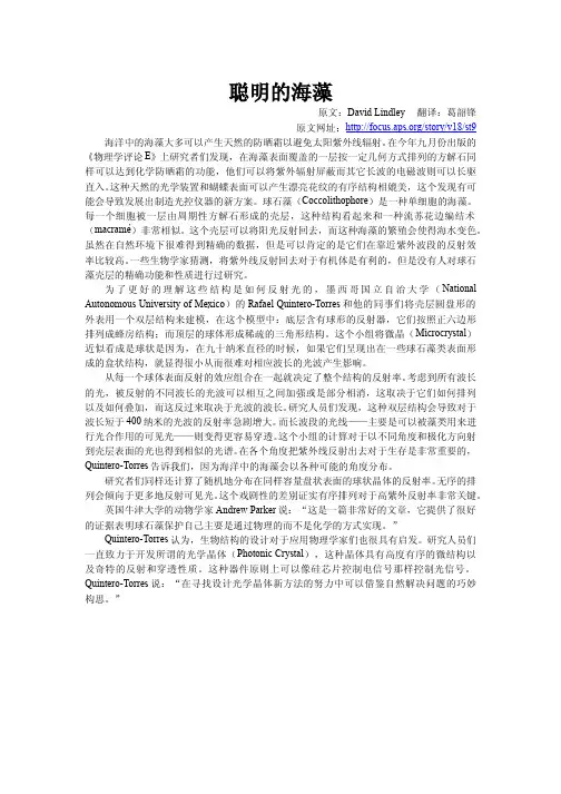 聪明的海藻