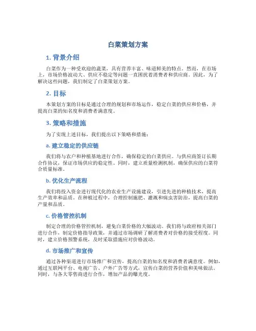 白菜策划方案