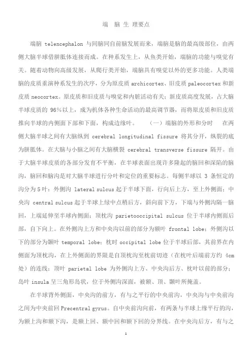 端脑(生理)功能要点