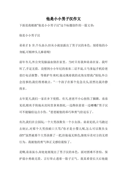 他是小小男子汉作文