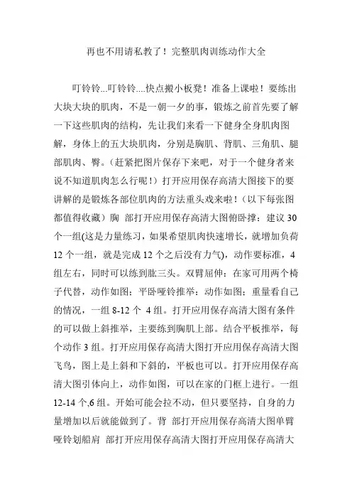再也不用请私教了!完整肌肉训练动作大全
