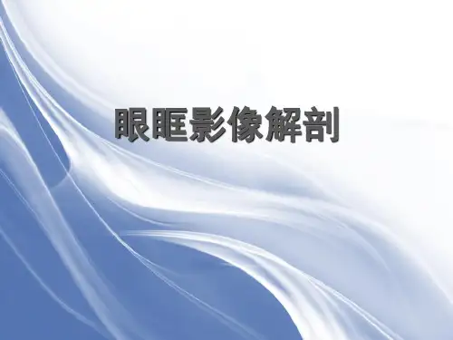 眼眶影像解剖(100页)