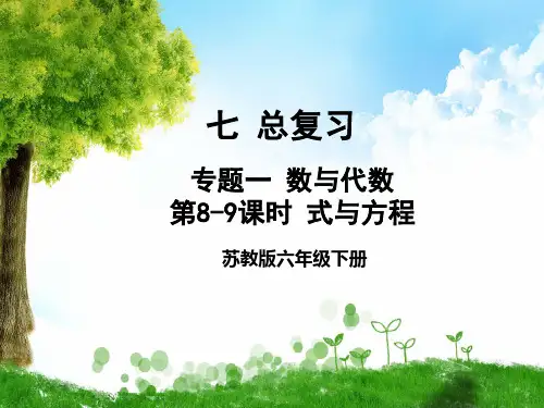 苏教版数学六年级下册第8-9课时 式与方程课件