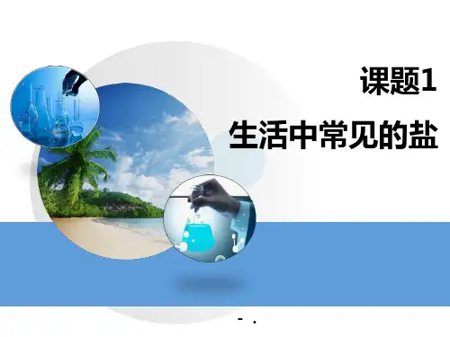 《生活中常见的盐》PPT课件