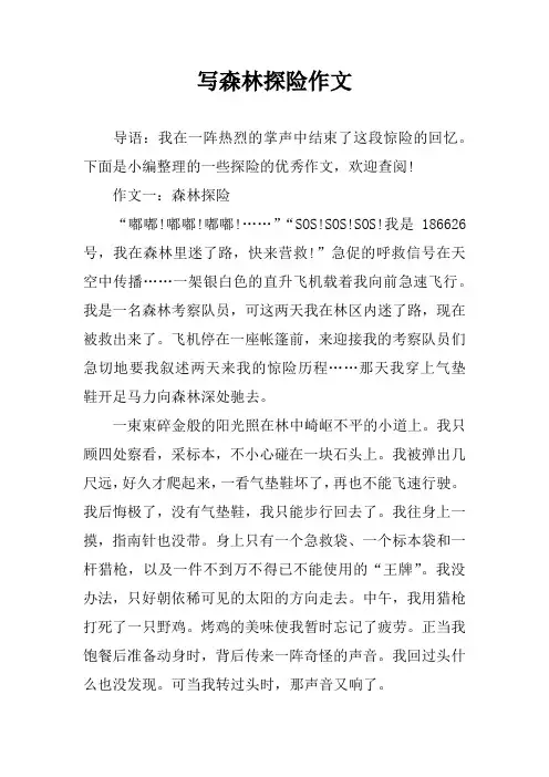 写森林探险作文