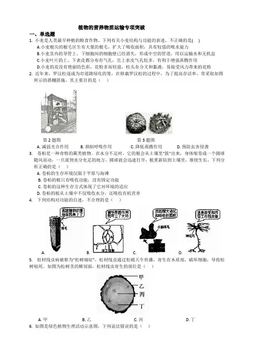 植物的营养物质运输专项突破(含答案)