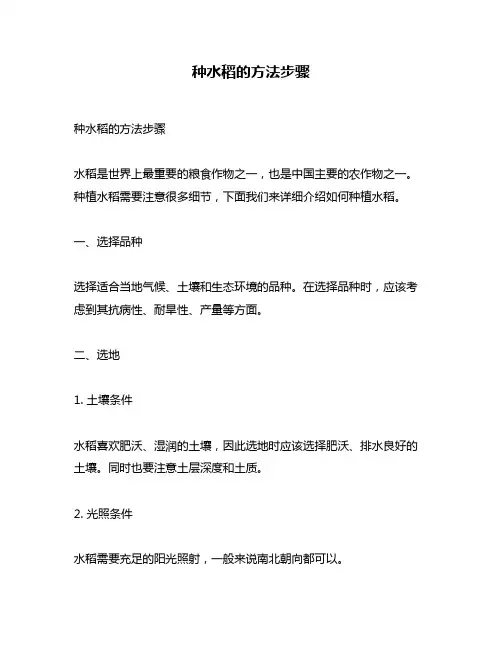 种水稻的方法步骤