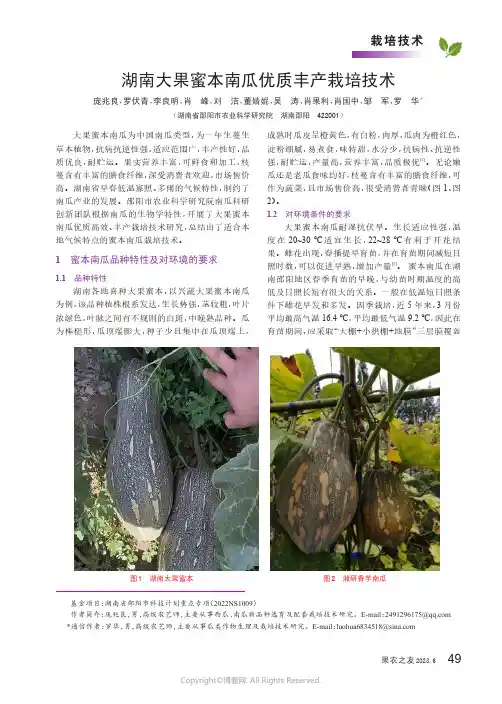 湖南大果蜜本南瓜优质丰产栽培技术