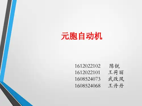 元胞自动机模型