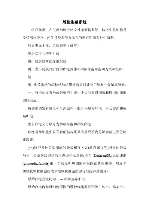 雌性生殖系统