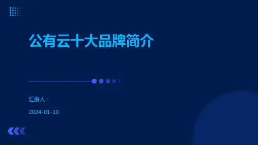公有云十大品牌简介