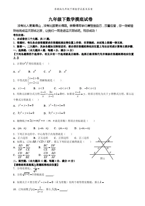 苏教版九年级下册数学试卷及答案
