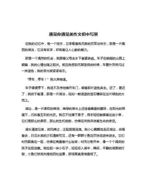 遇见你遇见美作文初中写景