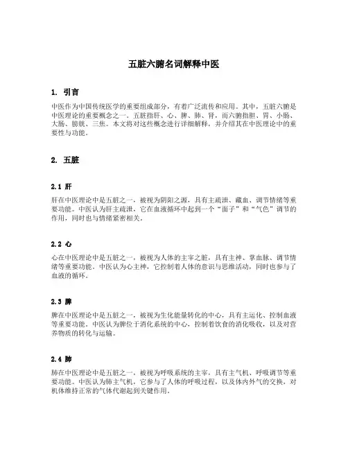 五脏六腑名词解释中医