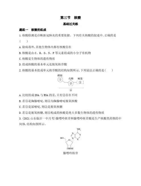 人教版高中化学第四章第三节核酸练习高二化学人教版选择性必修3