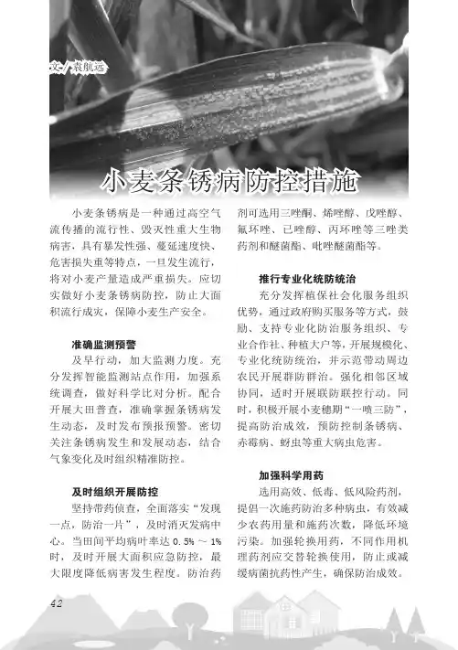 小麦条锈病防控措施