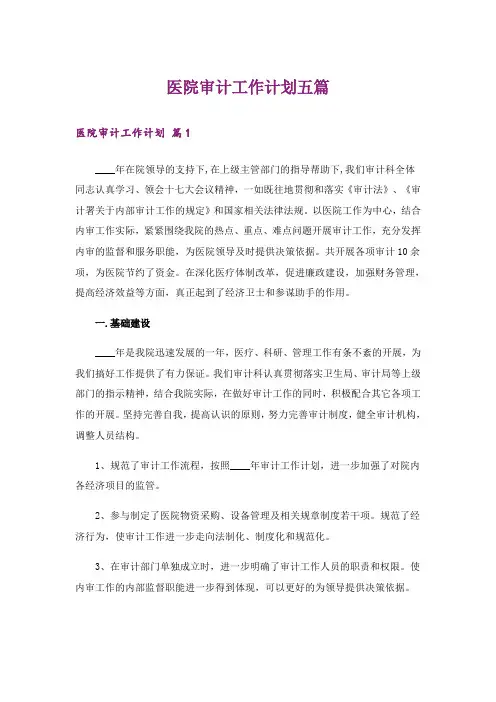 医院审计工作计划五篇