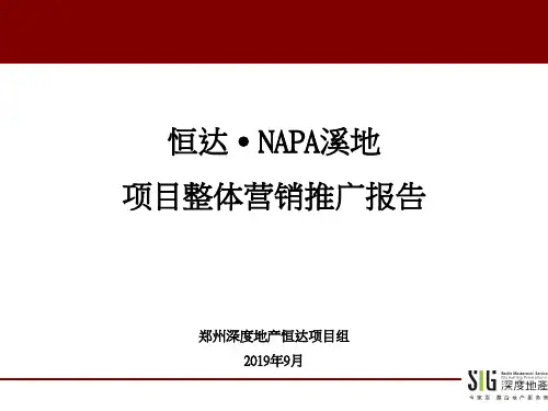 2019许昌市恒达NAPA溪地项目整体营销推广报告