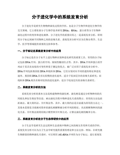 分子进化学中的系统发育分析