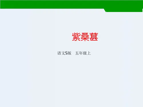 语文S版五年级上册语文课件-15紫桑葚