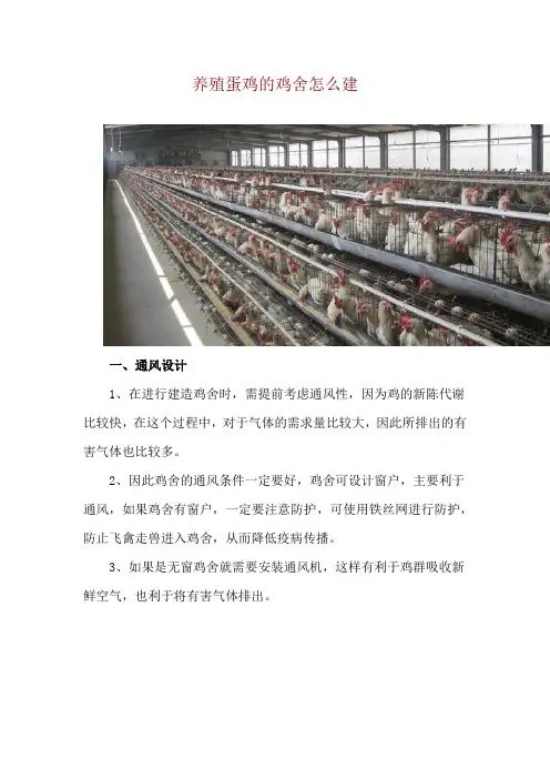 养殖蛋鸡的鸡舍怎么建